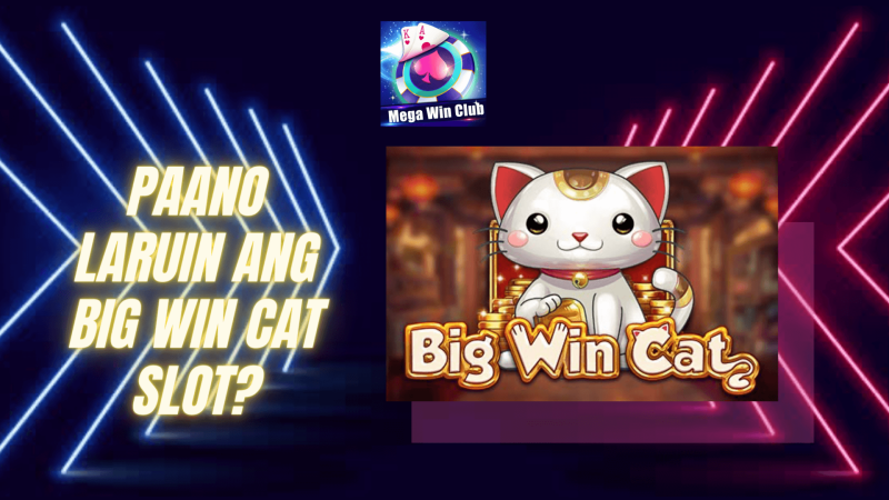 big win cat slot