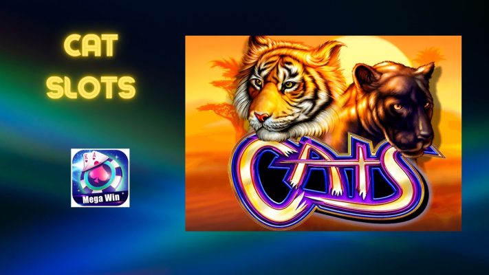 cats slots big win casino